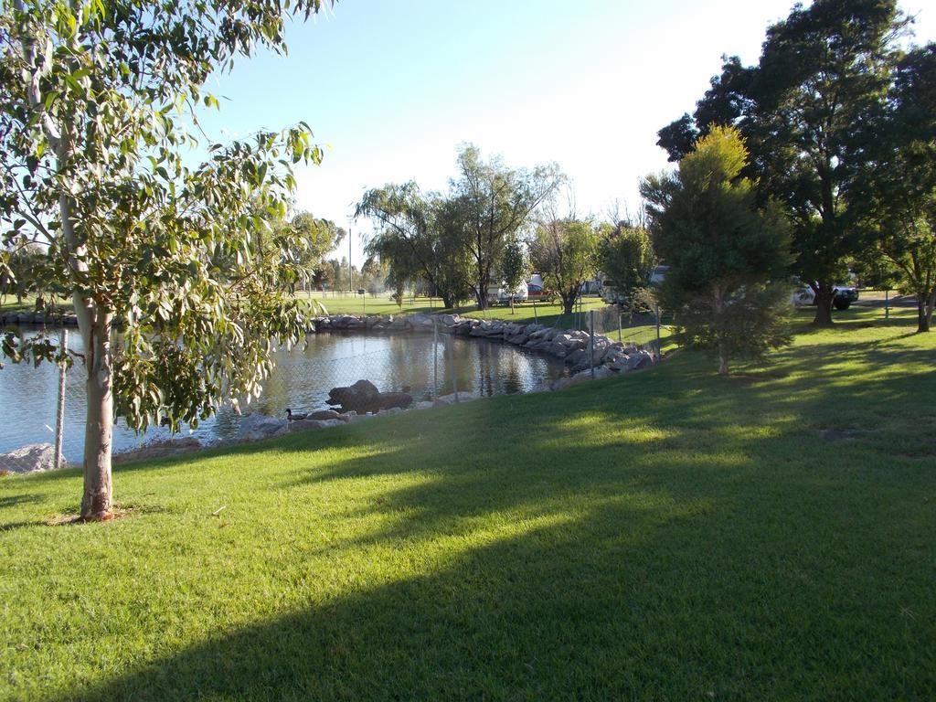 Junee Tourist Park Ngoại thất bức ảnh
