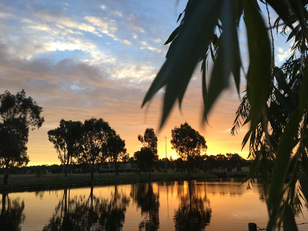 Junee Tourist Park Ngoại thất bức ảnh